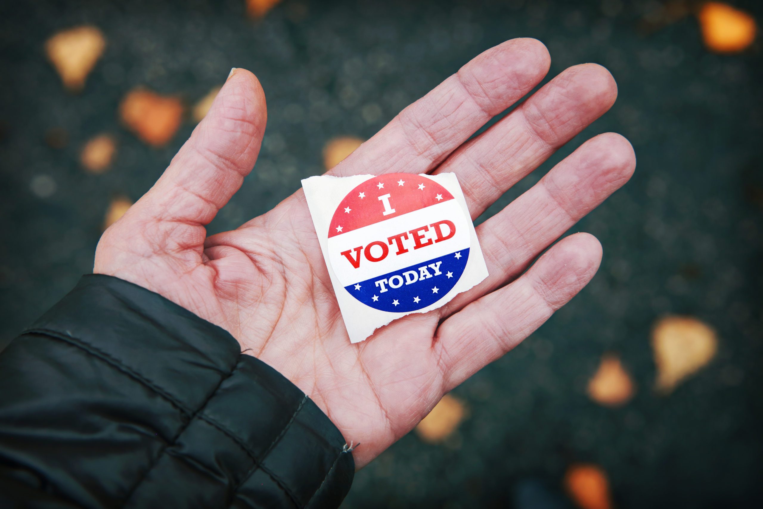 Vermilion County Election Day (April 6) Polling Locations