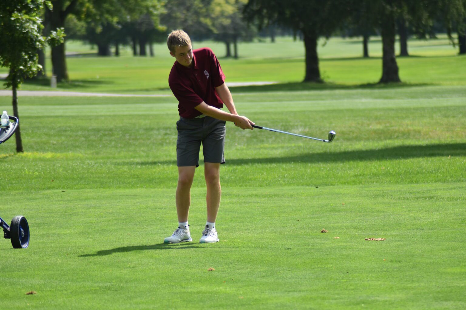 Vaughn and Walker Lead St. JosephOgden JV Golf in Match at Willow Pond